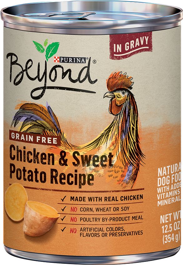 Purina Beyond Grain Free Chicken Sweet Potato Dog Food Can