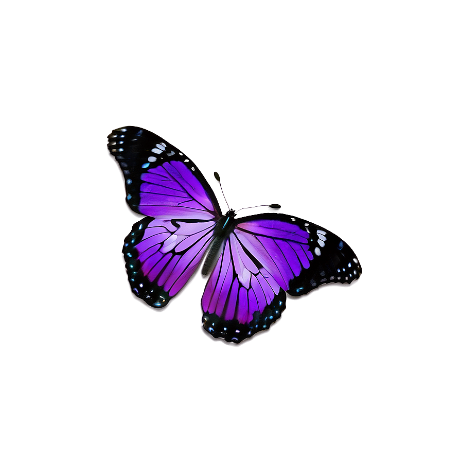 Purple Butterflies Png Nbd