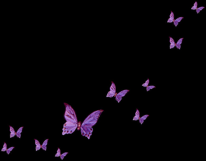 Purple Butterflies Transparent Background