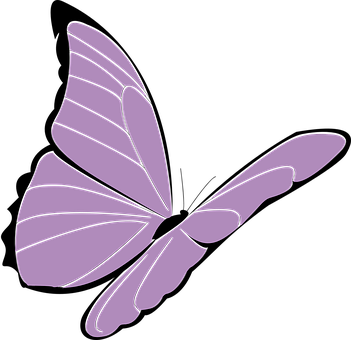 Purple Butterfly Graphic