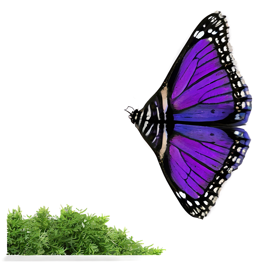 Purple Butterfly In Nature Png Nlg