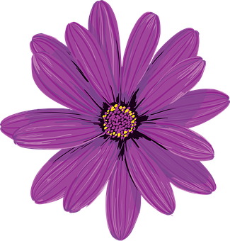 Purple Daisy Illustration