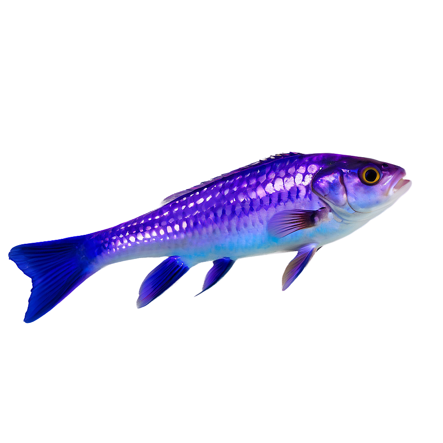 Purple Fish Png Eyn36