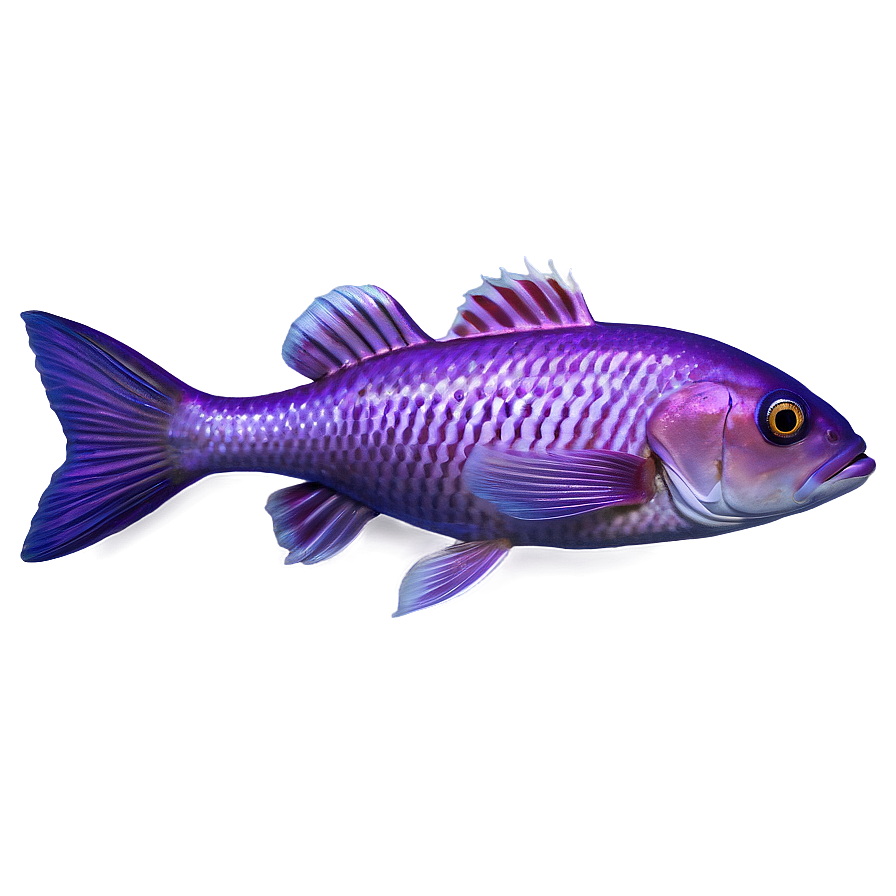 Purple Fish Png Vqx92