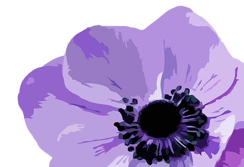 Purple Flower Illustration