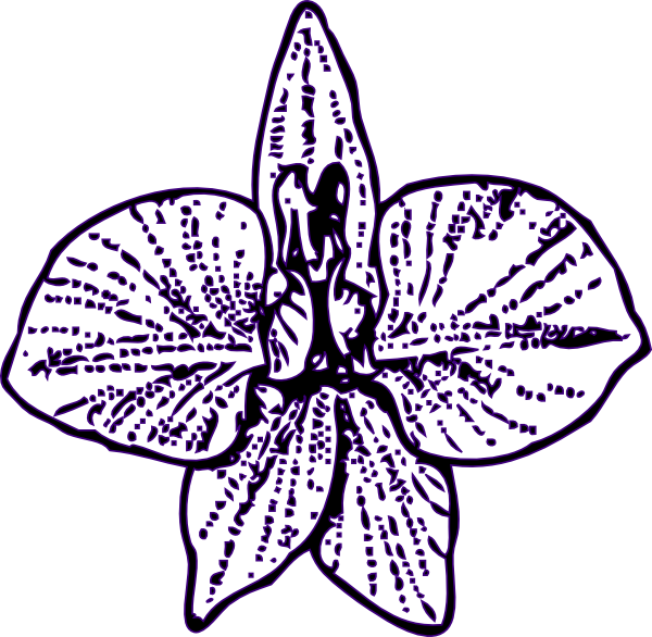 Purple Flower Line Art Outline.png