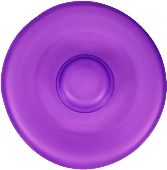 Purple Frisbee Top View