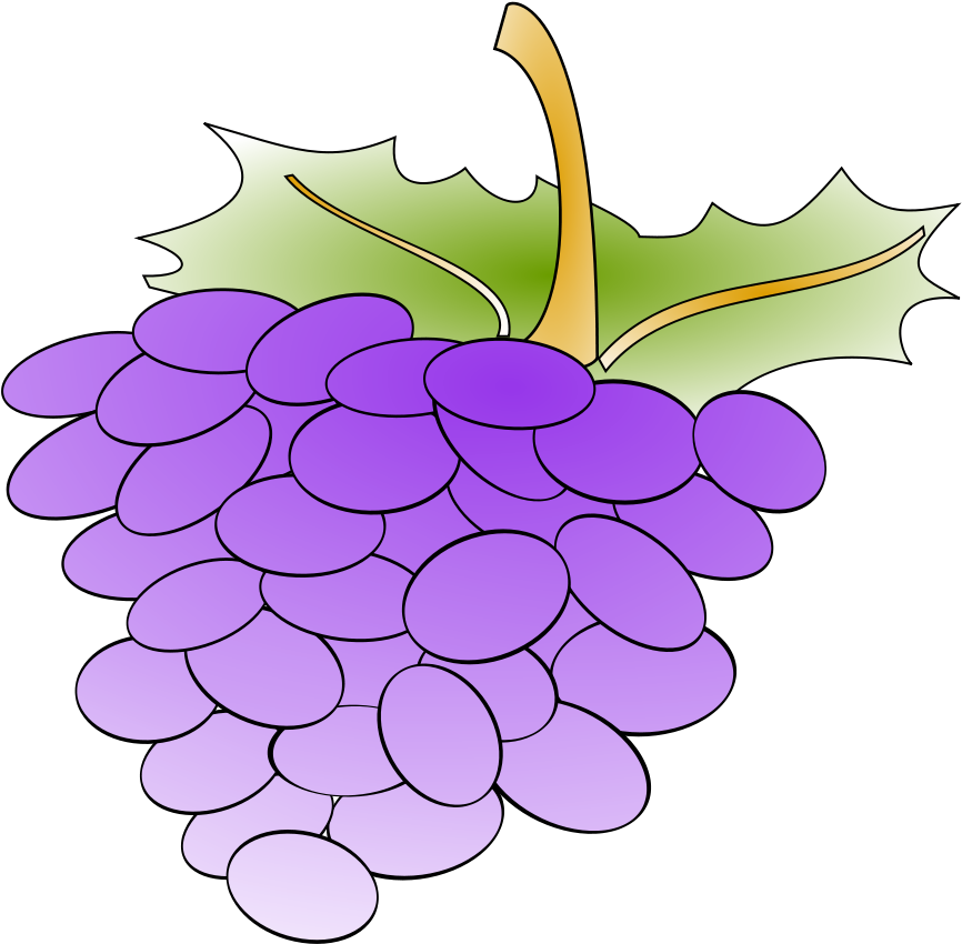 Purple Grape Cluster Cartoon Illustration