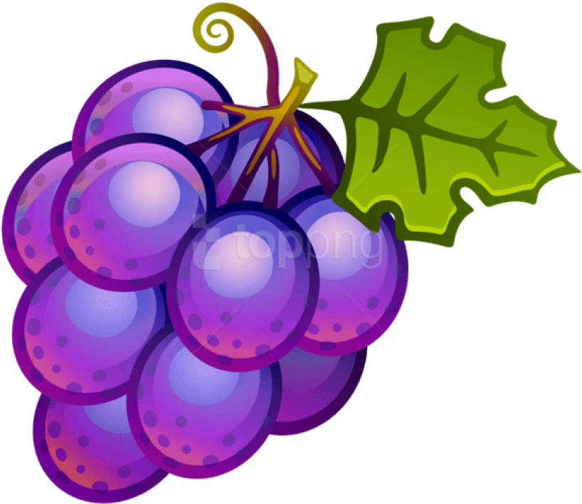 Purple Grapes Cartoon Illustration