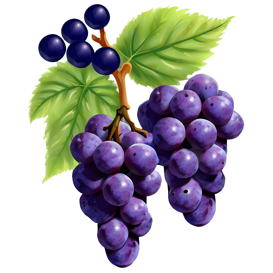 Purple Grapes Png Dcn