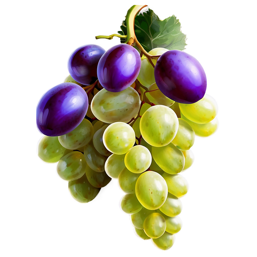 Purple Grapes Png Oai18