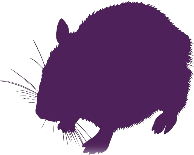 Purple Hamster Silhouette