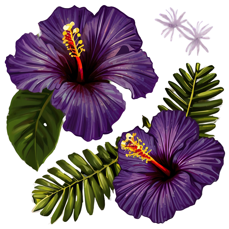 Purple Hibiscus Png Fvw