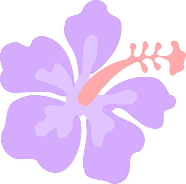 Purple Hibiscus Vector Illustration