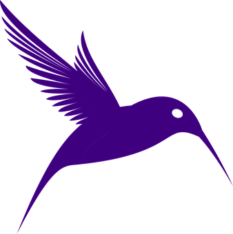 Purple Hummingbird Silhouette