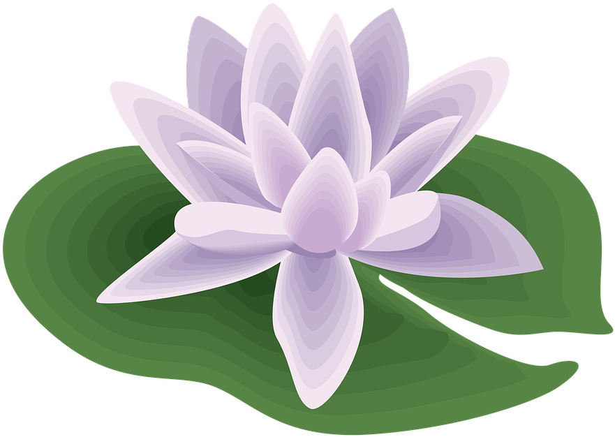 Purple Lotus Vector Art