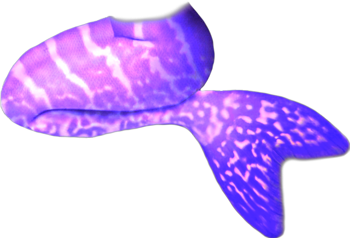 Purple Mermaid Tail Graphic
