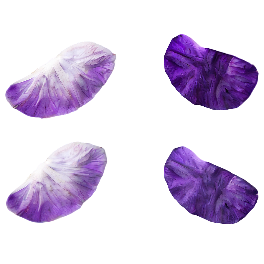 Purple Rose Petals Png Adr78