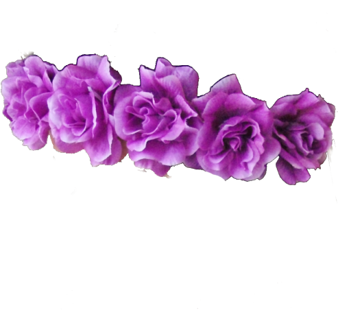 Purple Roses Row