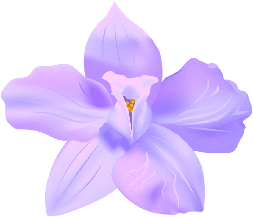 Purple Spring Flower Illustration