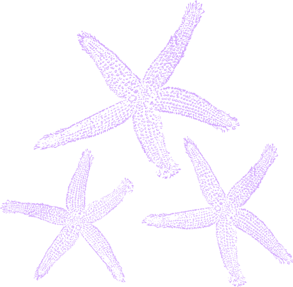 Purple_ Starfish_ Clipart_ Vector
