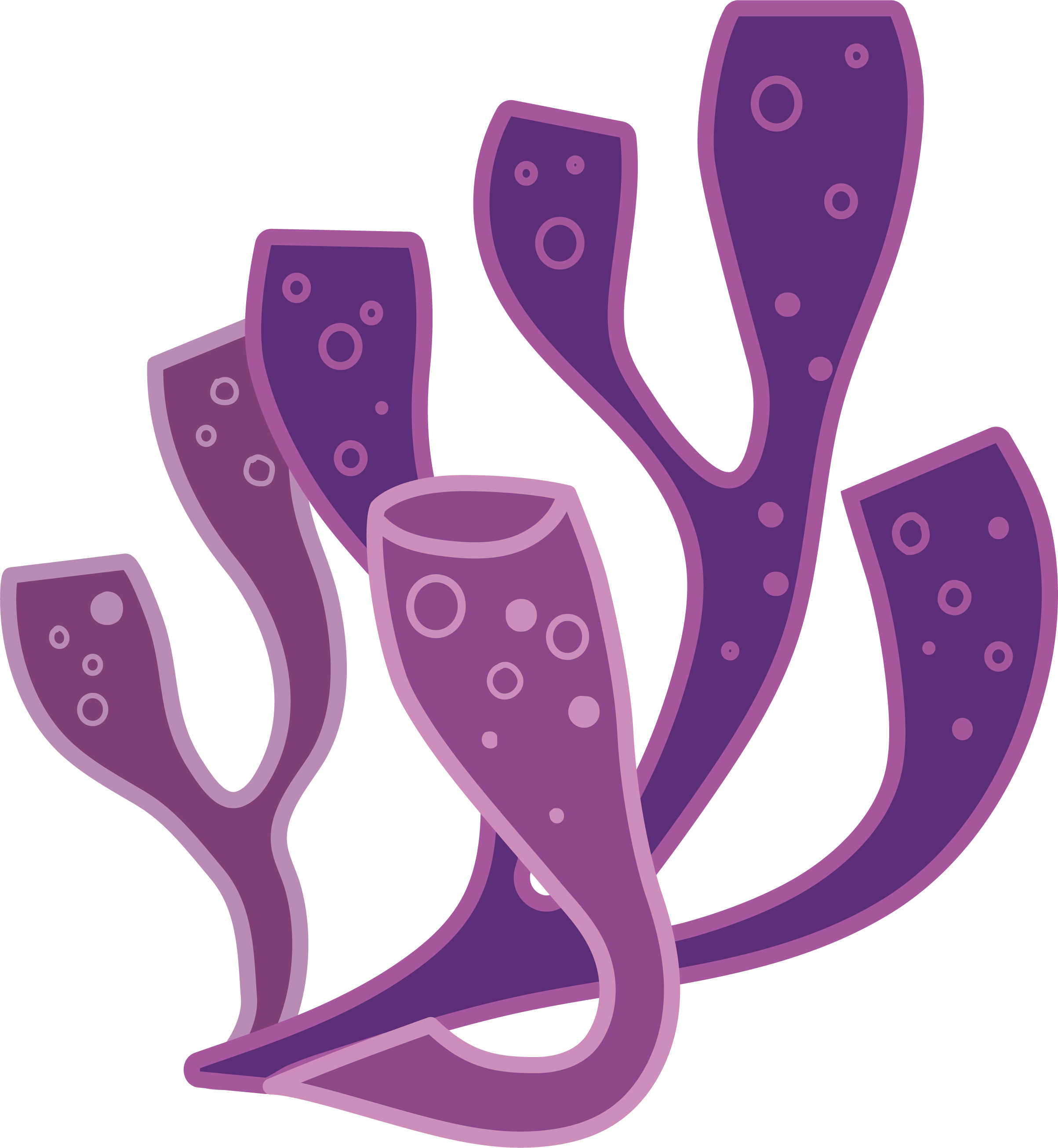 Purple Stylized Coral Illustration
