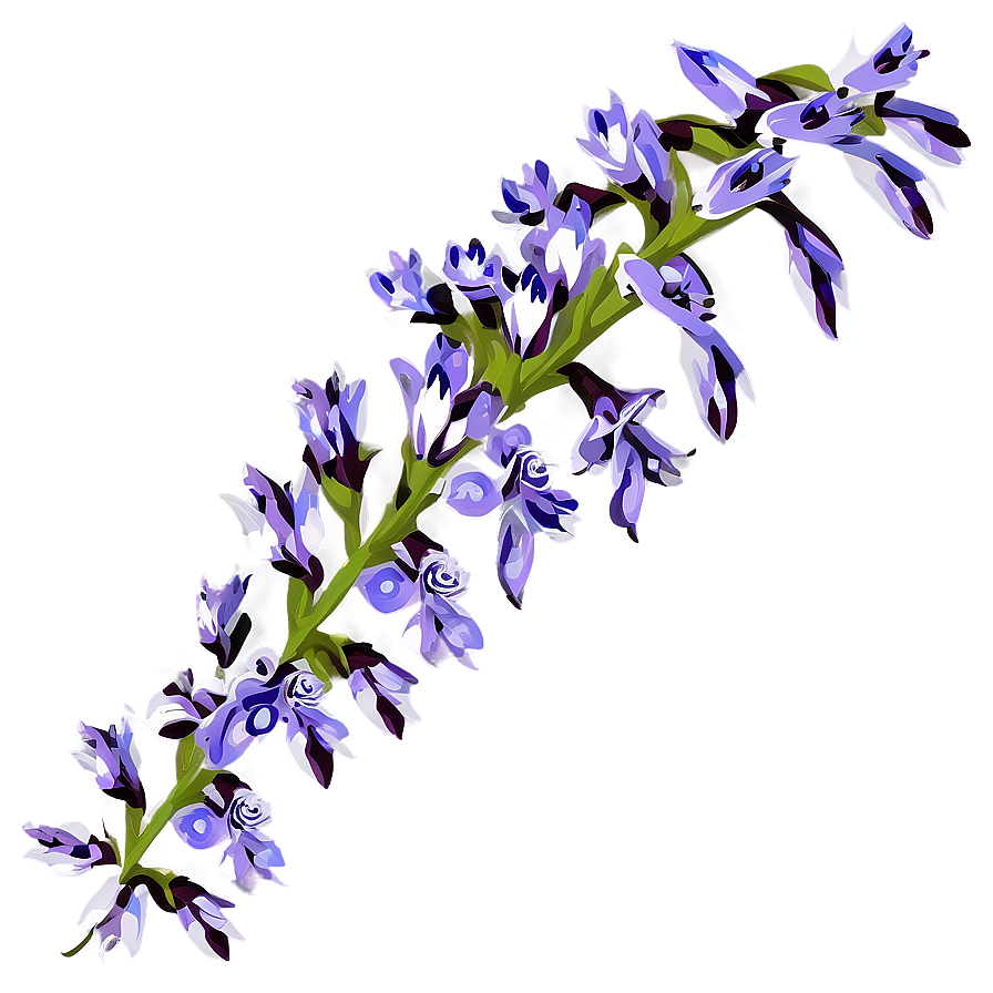 Purple Wildflower Png 05242024