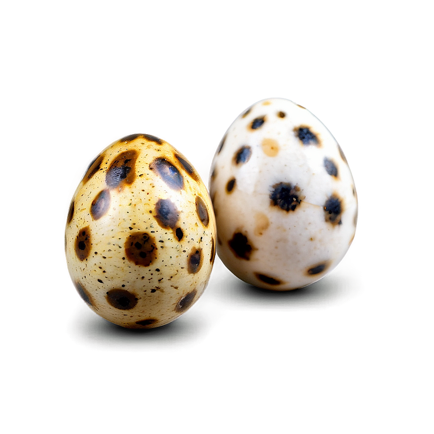 Quail Egg Png Vbb