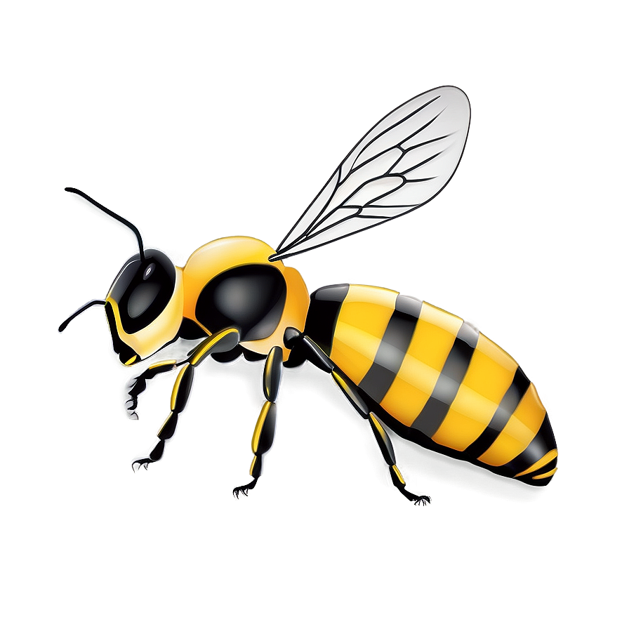 Queen Bee Illustration Png Ets96