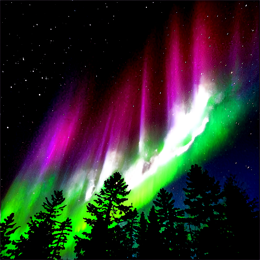 Radiant Aurora Above Treetops Png 27