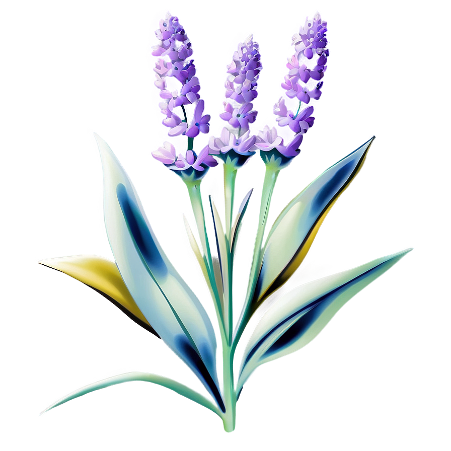 Radiant Lavender Bloom Png Qug40