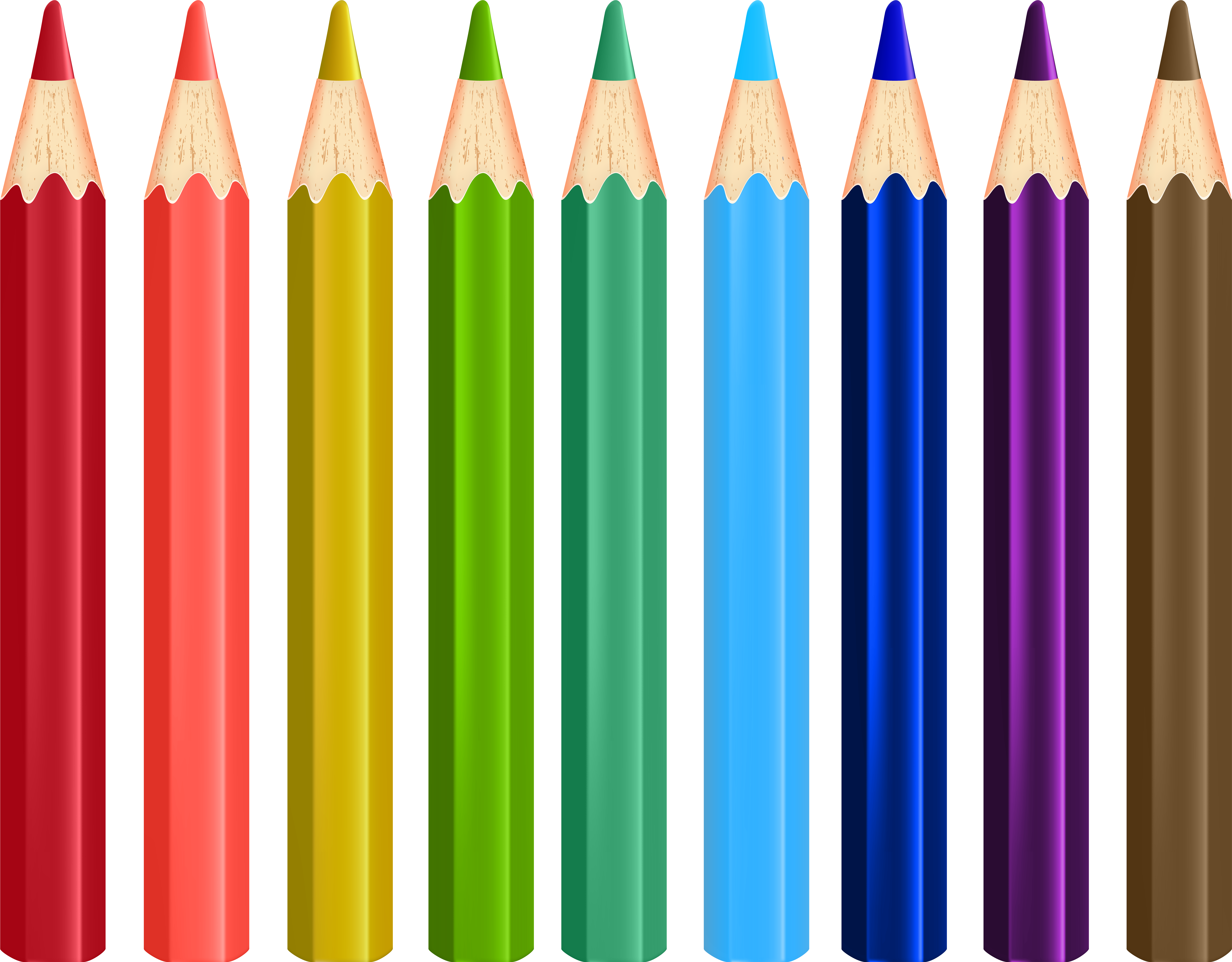 Rainbow Colored Pencils Array