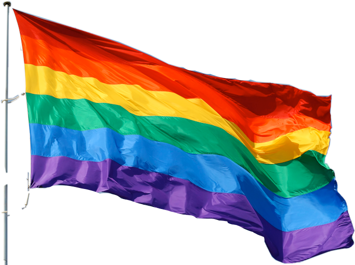 Rainbow Pride Flag Waving