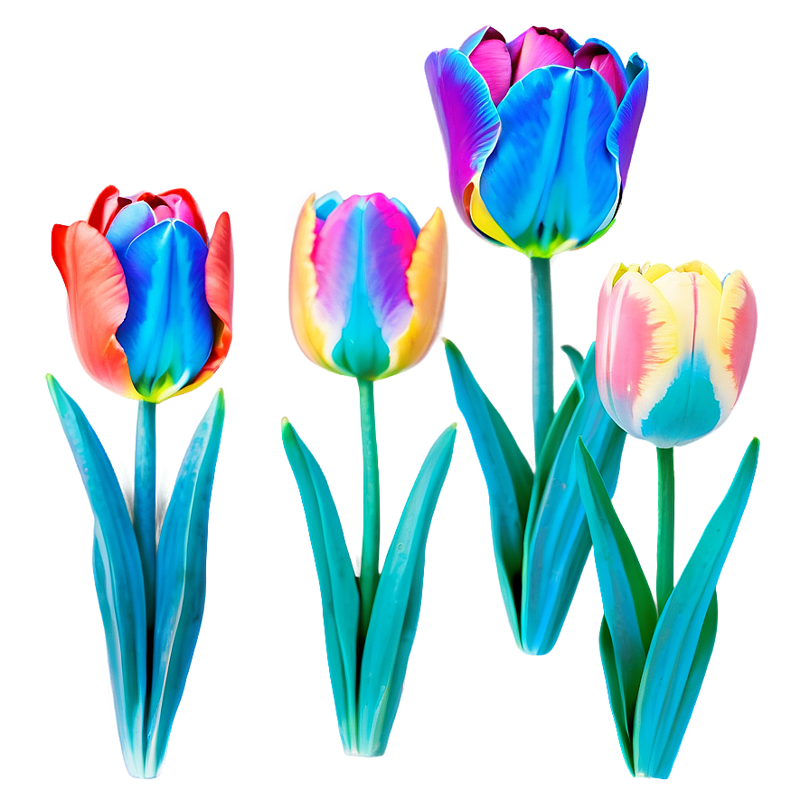 Rainbow Tulips Png 4