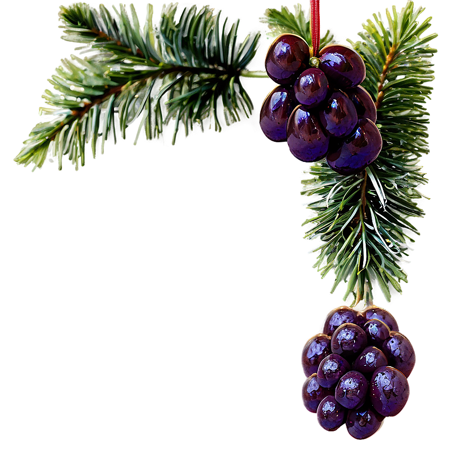 Raisins Festive Decor Png 06262024