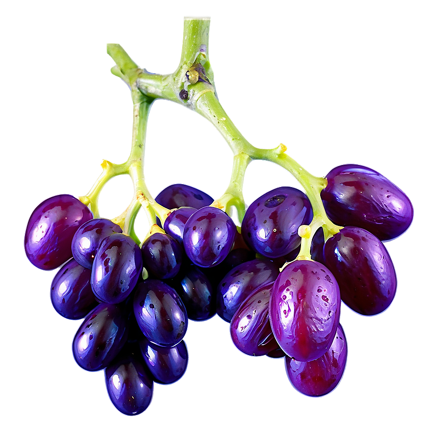 Raisins On Vine Png Nyy