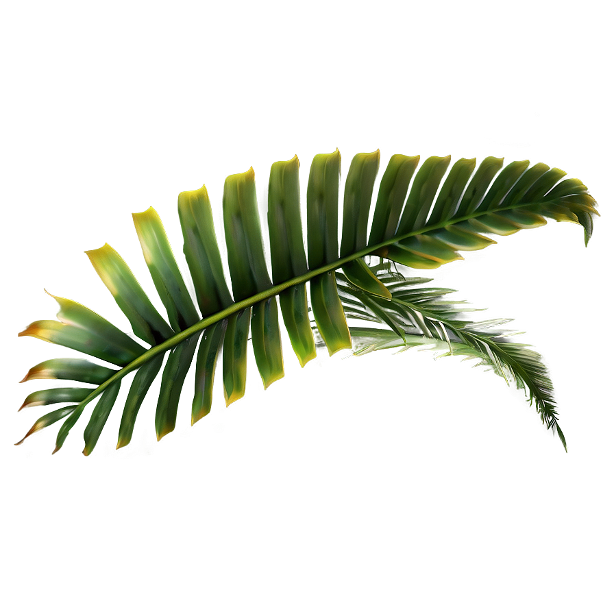 Rare Tropical Plants Png Cms15