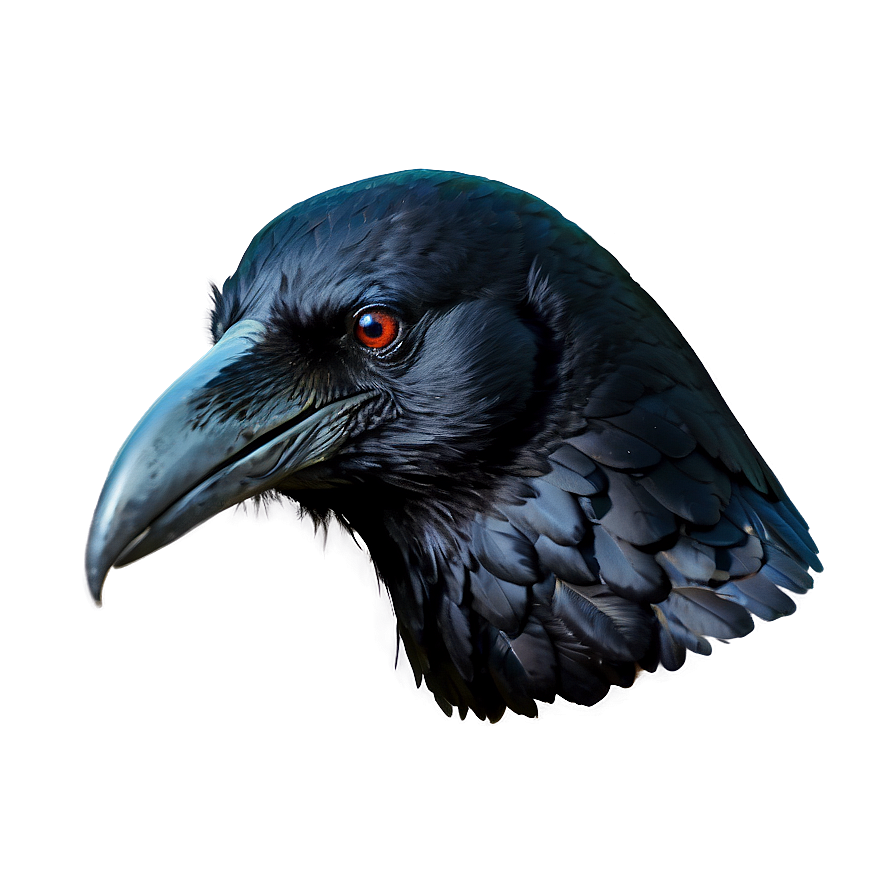 Raven Head Png Ywh85