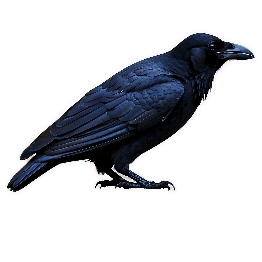 Raven In The Night Png Hhh