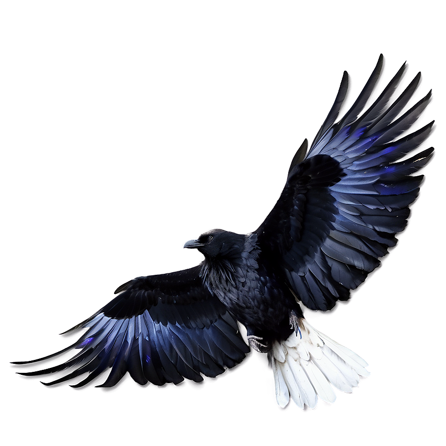 Raven With Open Wings Png 06122024