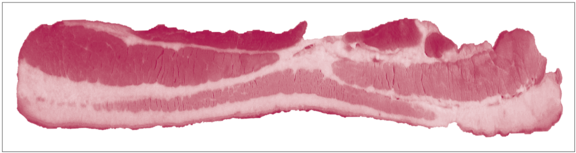 Raw Bacon Strip