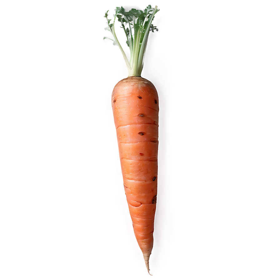 Raw Carrot Png 11