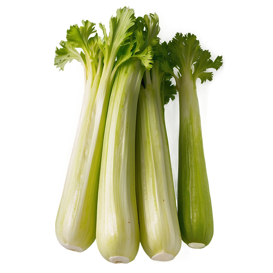 Raw Organic Celery Png Aee