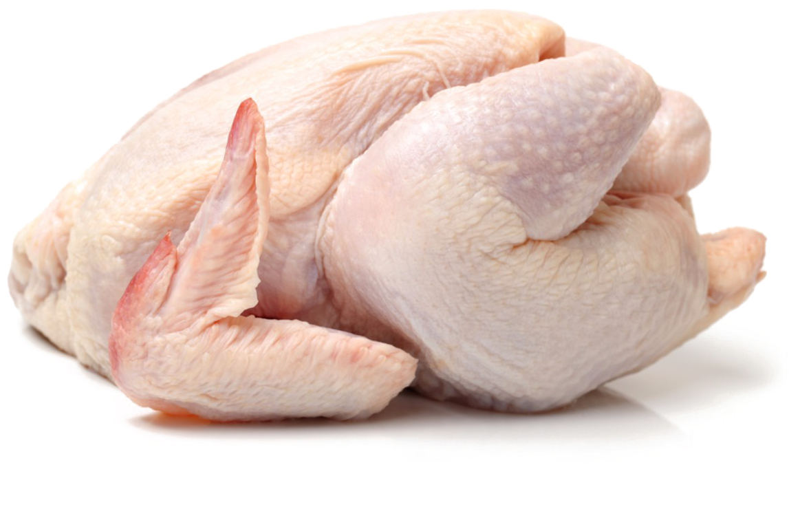 Raw Whole Chicken Isolated.png