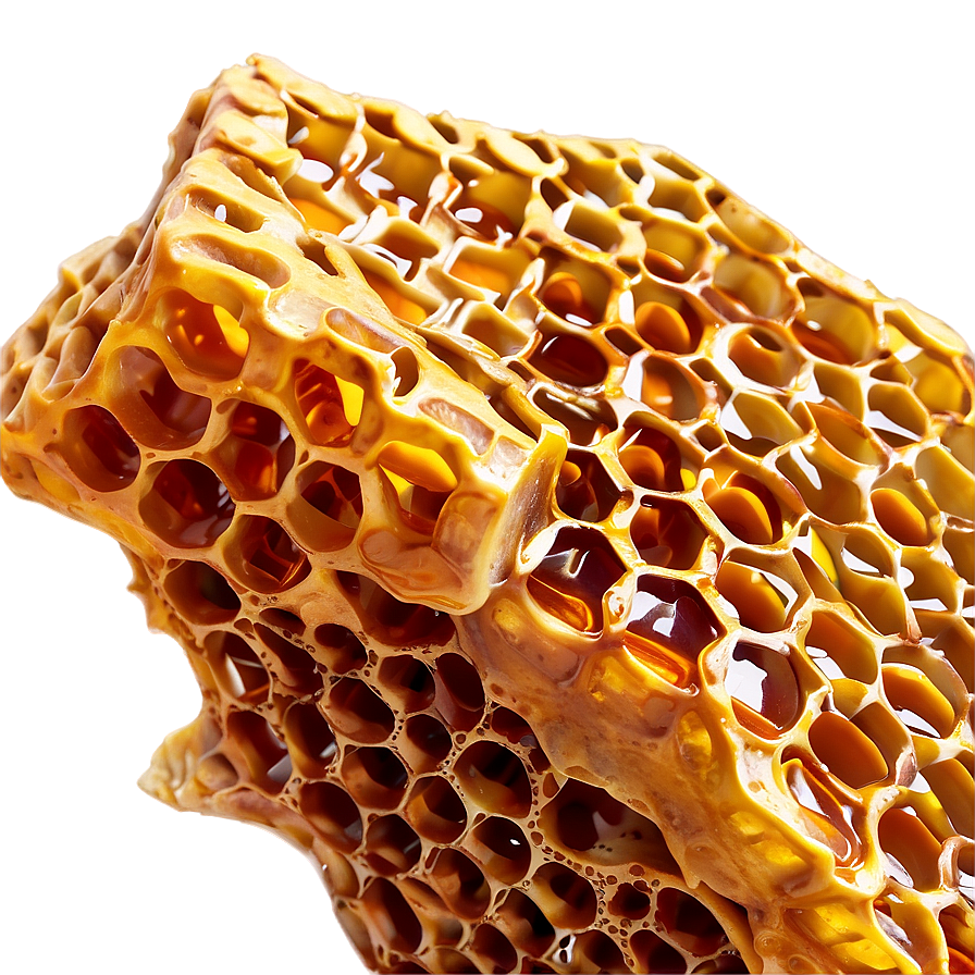 Real Honeycomb Image Png 05232024