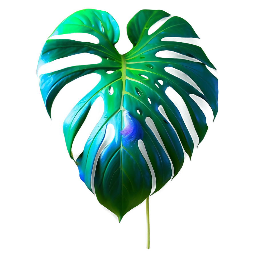 Real Monstera Plant Png 12