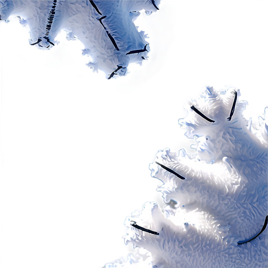 Real Snow Transparent Png Elg85