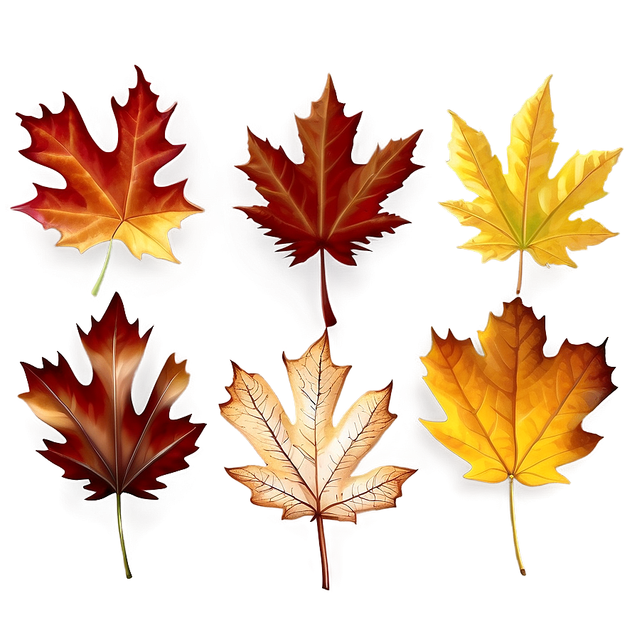 Realistic Autumn Leaf Png Gsp57