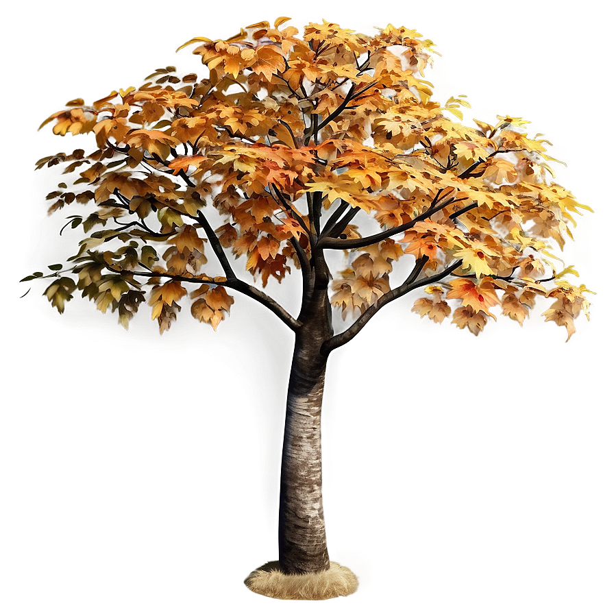 Realistic Autumn Tree Png Cfu