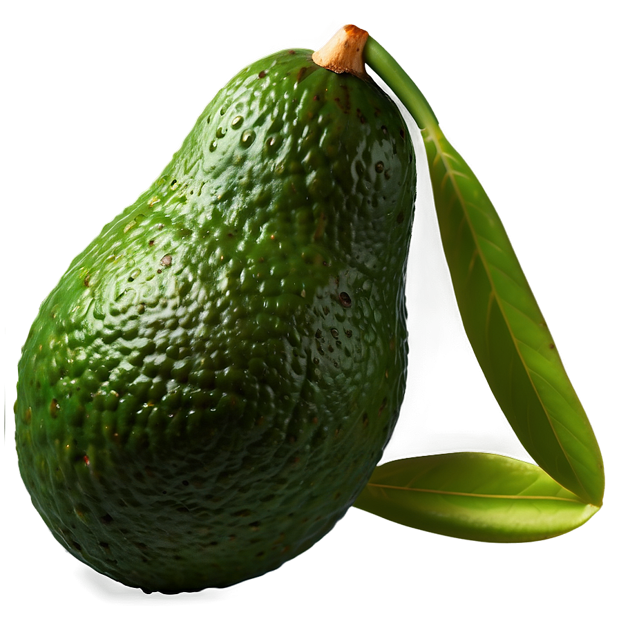 Realistic Avocado Png 89